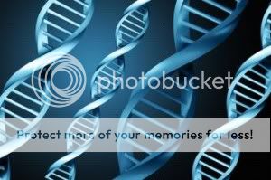 DNA - Hair (c) MedDirectInc preemployment screening